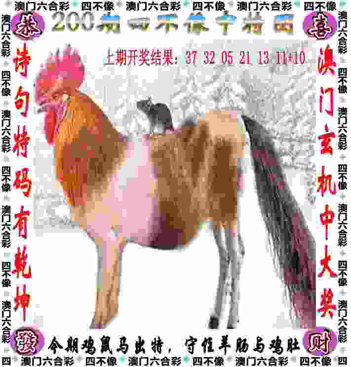 中国女篮大胜新西兰队 挺进亚洲杯四强